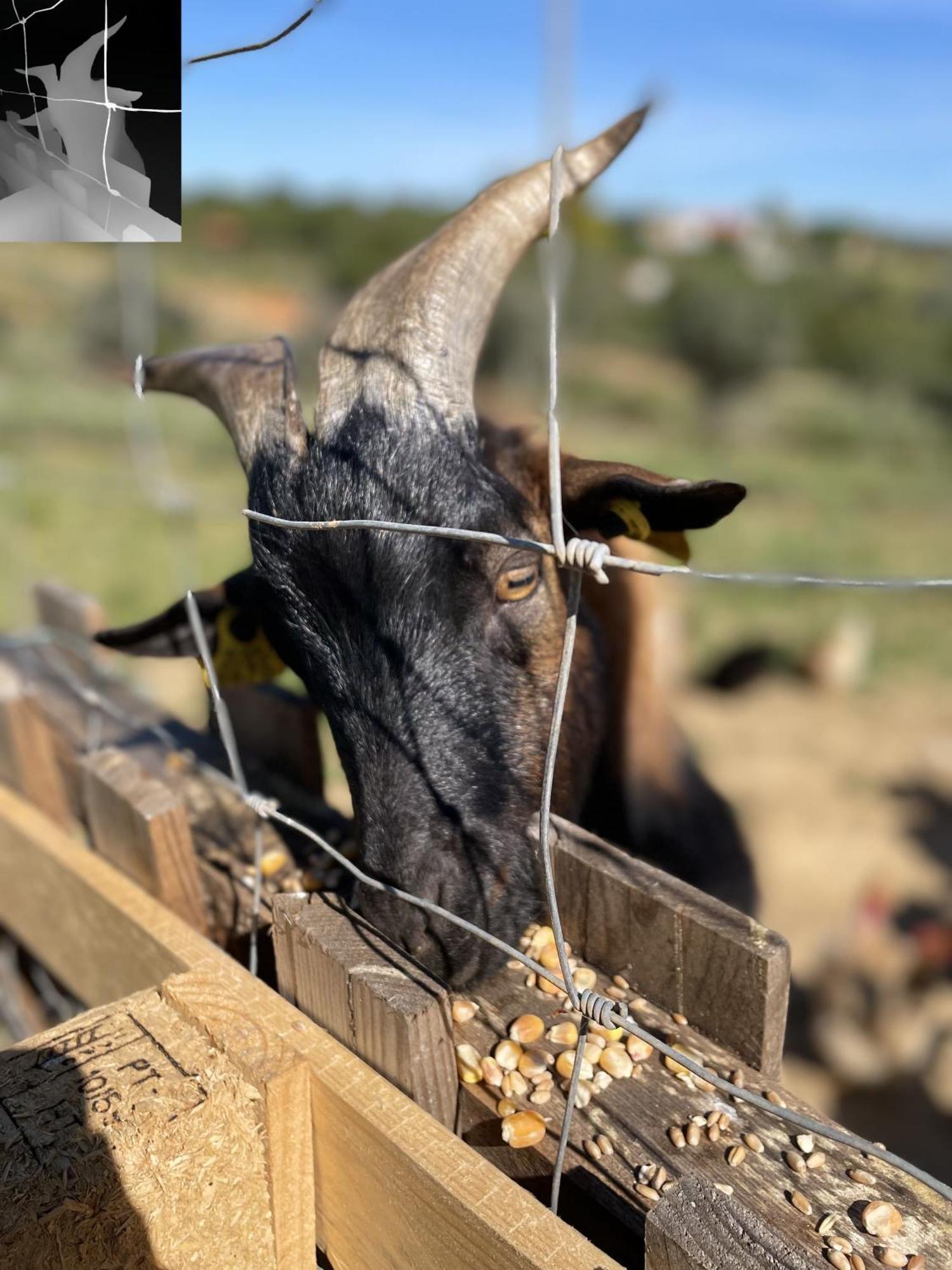 Monte Das Areias Casa De Campo/Passadico/Pateo/Rampa Поршеш Екстериор снимка