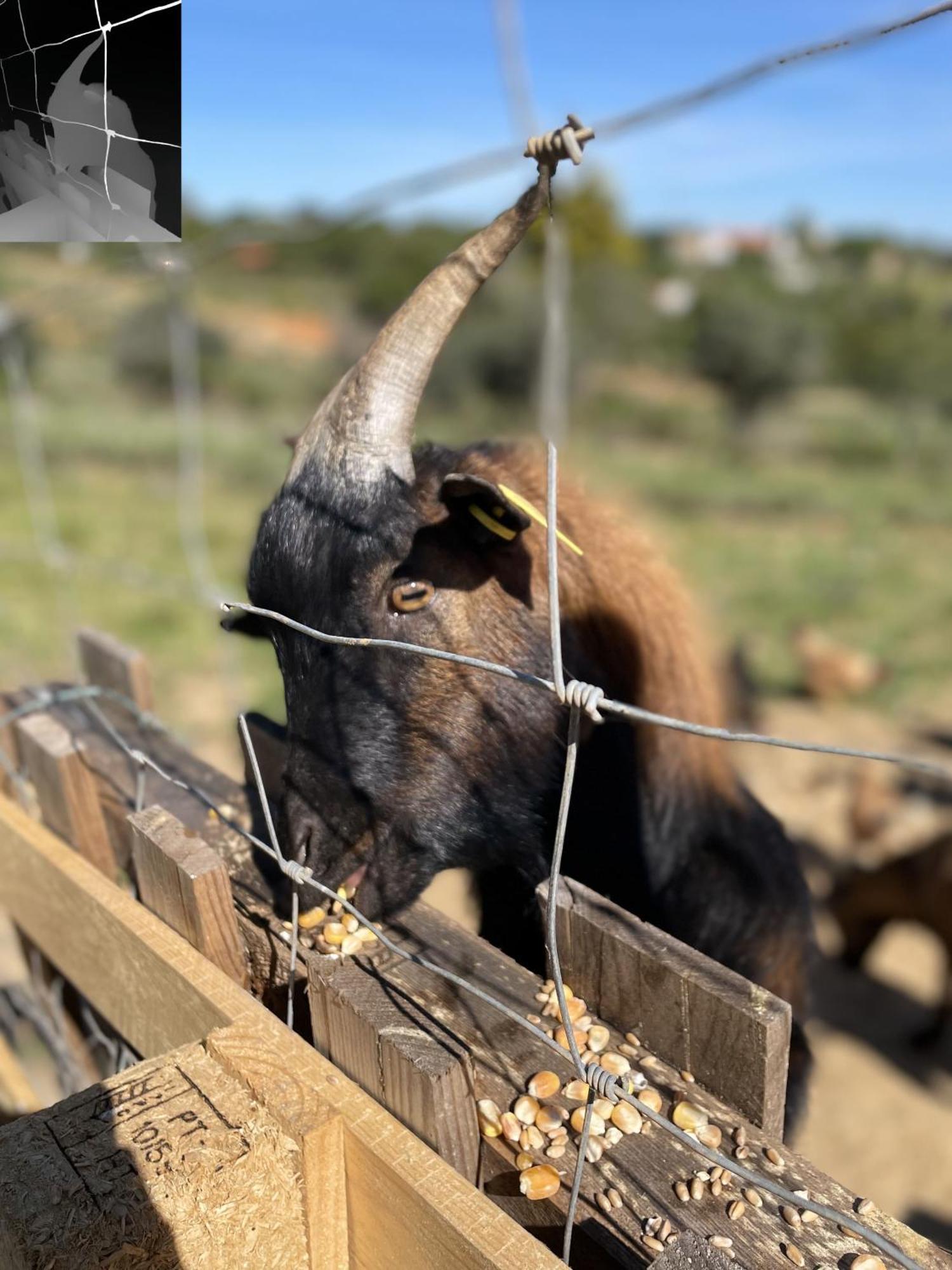 Monte Das Areias Casa De Campo/Passadico/Pateo/Rampa Поршеш Екстериор снимка
