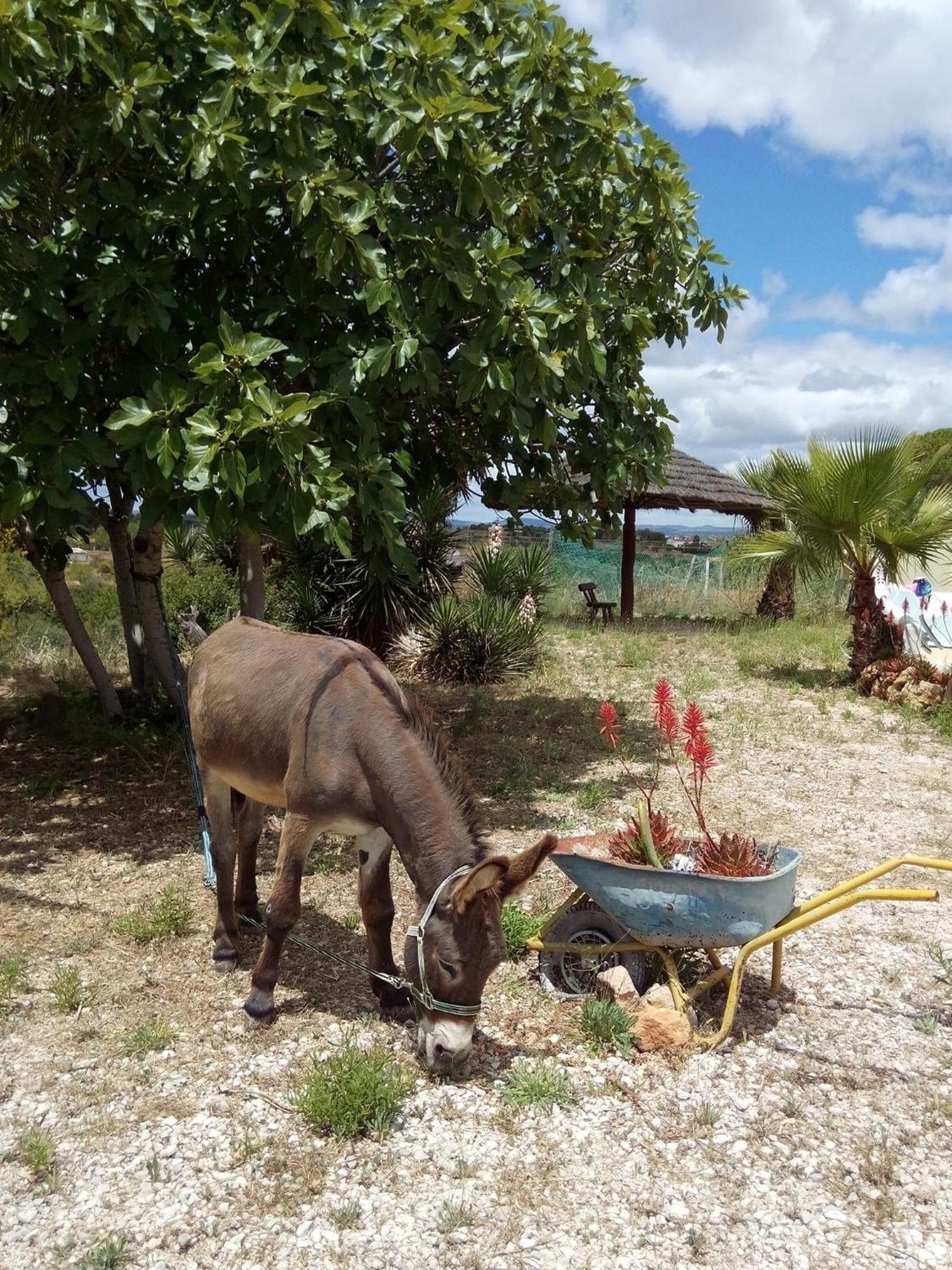 Monte Das Areias Casa De Campo/Passadico/Pateo/Rampa Поршеш Екстериор снимка